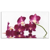 Artland Küchenrückwand »Phalaenopsis Orchidee«, (1 tlg.), Alu Spritzschutz mit Klebeband, einfache Montage, lila