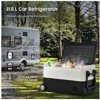 REDOM Outdoor-Flaschenkühler Deko-Kamin mit Heizung, mit APP, ABS-Kunststoff, Gefrierbox 12/24 V und 230 V für Auto schwarz
