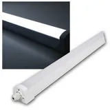 McShine FL-120 2 neutralweiß