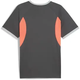 Puma IndividualLIGA grau M