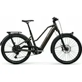 E-Bike Centurion Country R2000 T 2026 S_Grau frei Haus