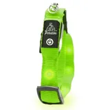 petsation Leuchtendes Katzenhalsband grün