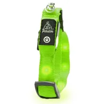 petsation Leuchtendes Katzenhalsband grün