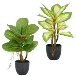 Kunstpflanze CREATIV GREEN "Ficus und Dieffenbachia", grün, H:34cm, Kunststoff, Kunstpflanzen, mit Luftwurzeln