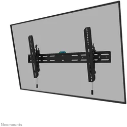 Neomounts TV-Wandhalterung