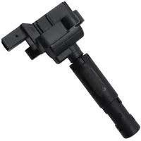 BorgWarner (Beru) Zündspule ZS077