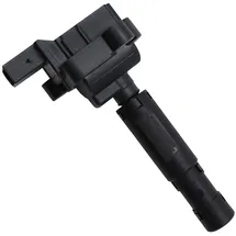 BorgWarner (Beru) Zündspule ZS077