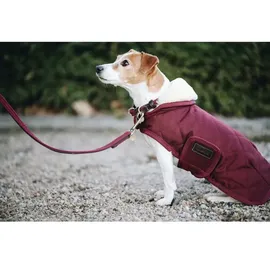 Kentucky Hundejacke Hundemantel Schwarz 28-33 cm