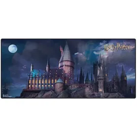 Pyramid Harry Potter Hogwarts mehrfarbig