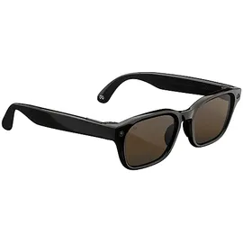 Meta Meta Adventurer, Klassisches Schwarz, Gläser: Braun AI Glasses