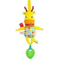Bright Starts Lernspielzeug Bright Starts Pull, Play & Boogie