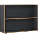 VCM Salia Aktenschrank 100 x 33 x 74 cm anthrazit