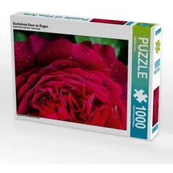 Dunkelrote Rose im Regen (Puzzle)