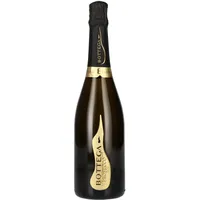 Bottega Il Vino dei Poeti Prosecco DOC Vintage Millesimato 2025 11% Vol. 0,75l
