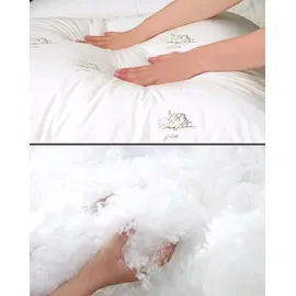 sei design heimtextilien inh. i. richter Large 3D SWAN-SET | 2 3D-Kopfkissen 80x80 - Weiß