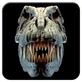 3D LiveLife Kork Matte - T-Rex Schädel von Deluxebase. Linsenförmige-3D-Kork Dinosaurier Untersetzer. rutschfeste Getränkematte mit Originalkunstwerk lizenziert vom bekannt Künstler David Penfound