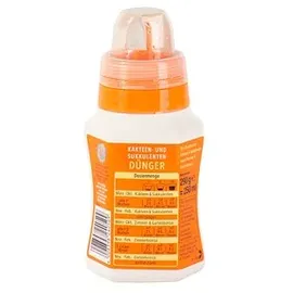 Compo Kakteendünger 250 ml