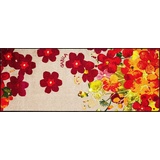 Salonloewe Rosina Wachtmeister Fußmatte Lifestyle Maggio 75x190 cm Flur-Teppich Läufer Wohn-Teppich Blumen bunt