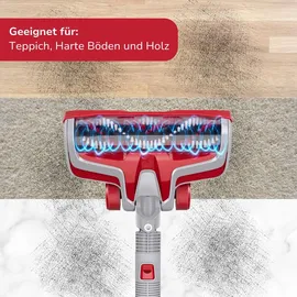 Dirt Devil DD9003 grau-rot