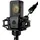 Lewitt LCT 440 Pure - XLR-Kondensatormikrofon mit 1" Kapsel - Ideal für Gesang, Instrumente, Podcasting & Streaming - Inklusive Mikrofonspinne, Popschutz, Windschutz & Transporttasche