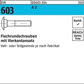 Hörger & Geßler Flachrundschraube DIN 603 M6 x 90 100 Stück