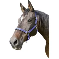 Kerbl Halfter Mustang blau/ schwarz