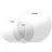 Evans FellSet G1 clear, Standard ETP-G1CLR-S