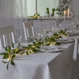 StarTrading Mistel Grün