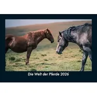 Vero Kalender Die Welt der Pferde 2026 Fotokalender DIN