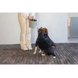 Designed by Lotte Behälter Canisto hellgrau