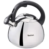 Tefal K2481574