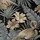 Superfresco Easy Vliestapete Sandrine Tropics Dark 10,05 x 0,52 m 0 g Schwarz/Mehrfarbig