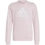 Adidas Essentials Big Logo, CLPINK/WHITE, 128