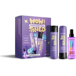 Matrix So Silver Geschenkset neutralisiert gelbe Verfärbungen