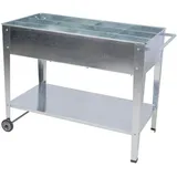 Garden Pleasure Hochbeet MARIEGOLD Metall silber rechteckig 52,0 x 81,0 cm