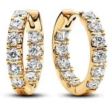 Pandora Creolen Timeless gold 263002C01