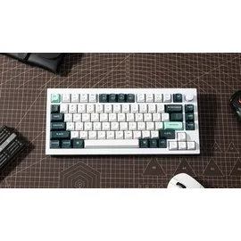 Keychron Q1 HE Kabellose Tastatur RGB Nebula, Switch Knob Version - White, US