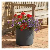 ethick Moderner Blumentopf Rund Ø 38 x 31 cm Anthrazit