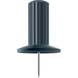 Exacompta 14901E 100x Blisterbox mit 25 Stück Pinnwandnadeln Papic, Ø10mm, Spitze 7mm - Schwarz