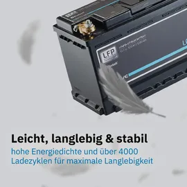 Ective LC 150 LT Versorgungsbatterie 17,5 x 19 cm Schwarz