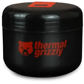 Thermal Grizzly Putty Pro 100 g