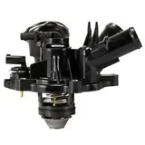 mahle Thermostat, Kühlmittel