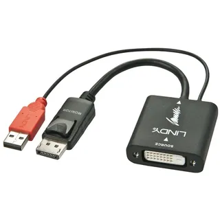 Lindy 38145 DVI auf DisplayPort Konverter, aktiv