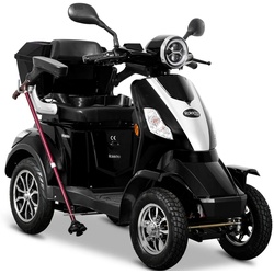Elektromobil ROLEKTRO "Rolektro E-Quad 25 V.2, Blei-Gel-Akku" Elektromobile schwarz Mobilitätshilfen Elektromobile