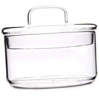 Mikinona Obstschale Mit Deckel Salatschale Dessertschale Hitzebeständiges Glas Eleganter Runder Rand Für Frühstücks-dinnerpartys
