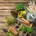 Relaxdays Anzuchttöpfe 24er Set HBT 5,5 x 22 x 8,5 cm biologisch abbaubar