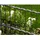 PEDDY SHIELD Doppelstabmattenzaun 3 Matten 1,23 x 6 m grau