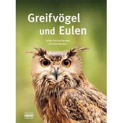 Greifvögel und Eulen