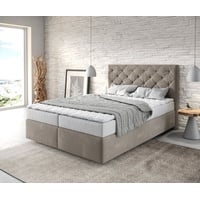 DeLife Boxspringbett Dream-Great Mikrofaser Beige 140x200 cm mit Matratze