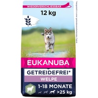 Eukanuba Welpenfutter getreidefrei mit Lamm für große Rassen - Trockenfutter ohne Getreide für Junior Hunde, 12 kg